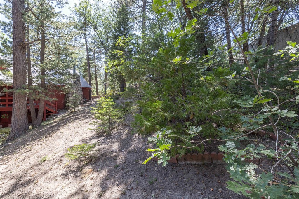 32825 Deer Lick Drive Property Photo 22