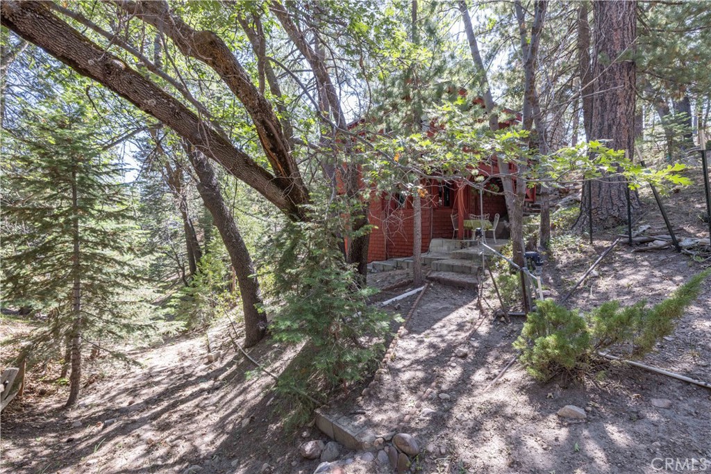 32825 Deer Lick Drive Property Photo 23