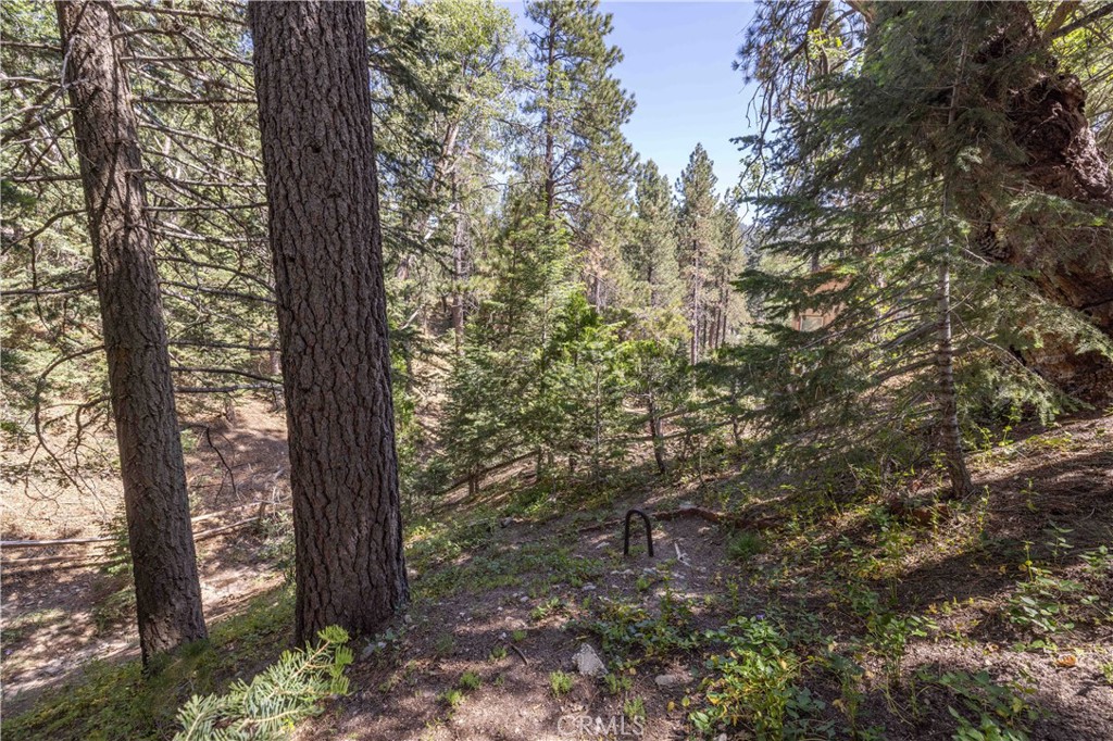 32825 Deer Lick Drive Property Photo 26