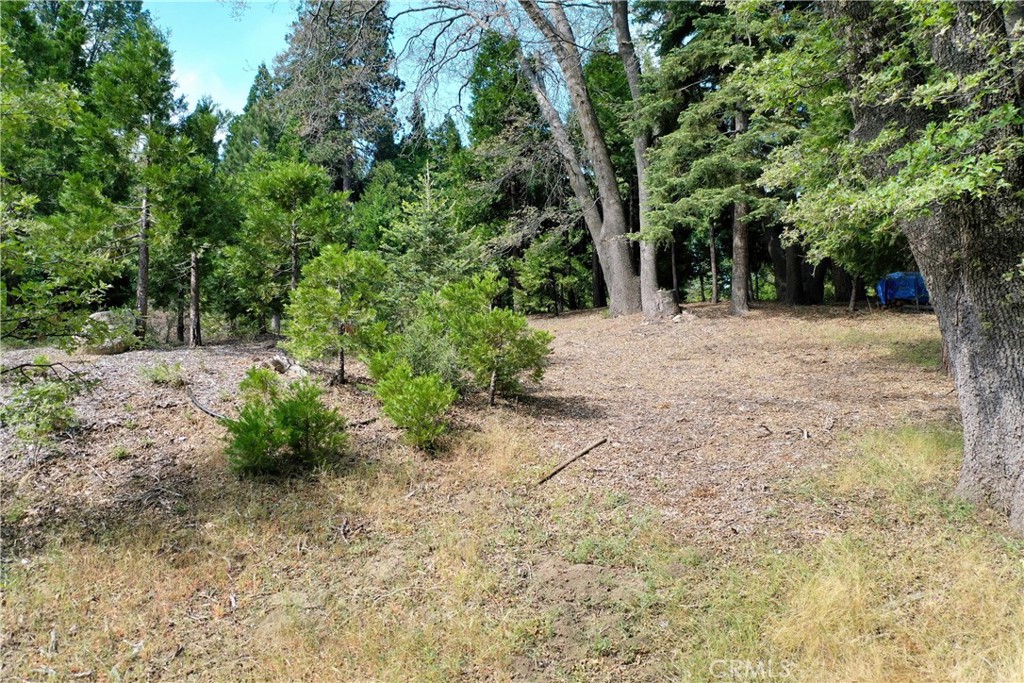 399 Cedar Ridge Drive Property Photo 2