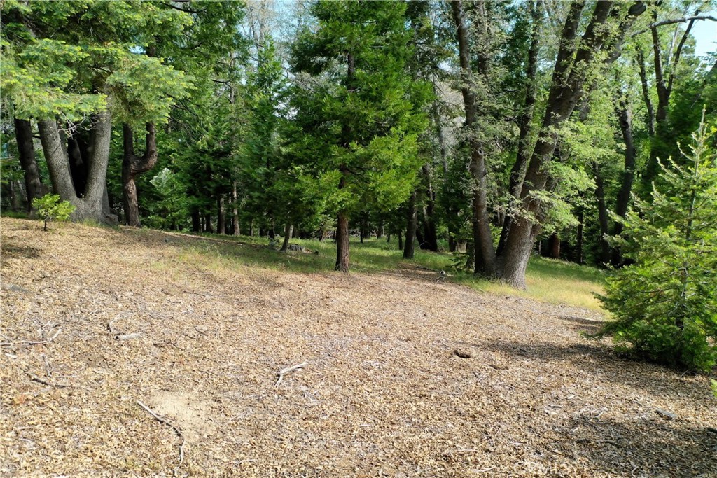 399 Cedar Ridge Drive Property Photo 4