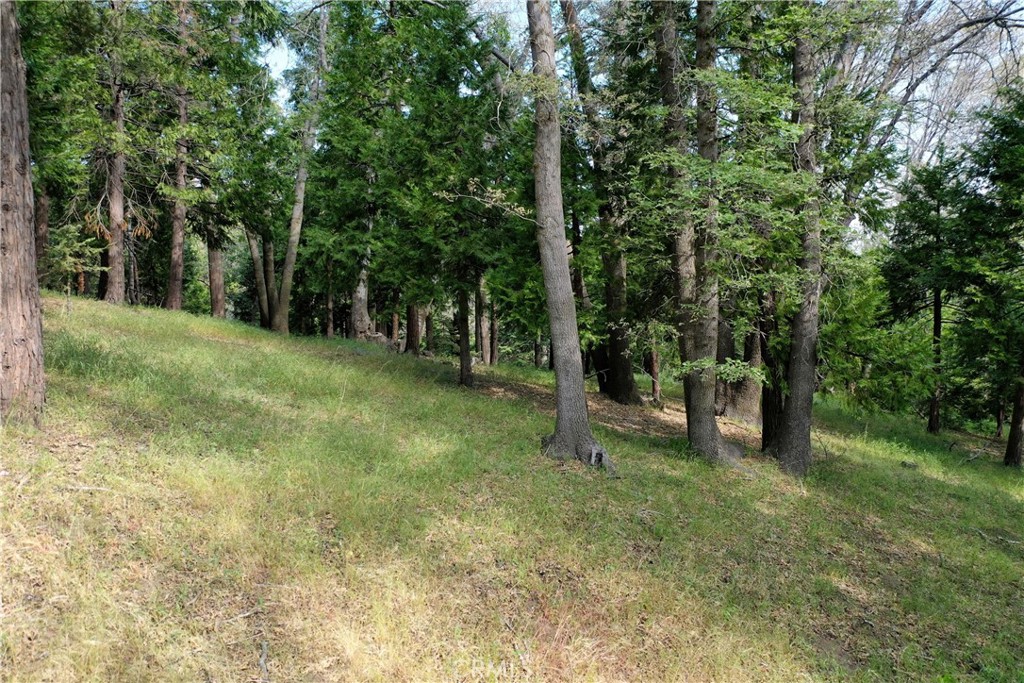 399 Cedar Ridge Drive Property Photo 5