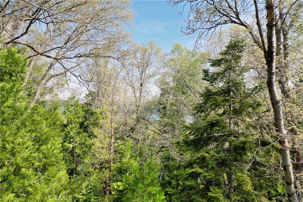399 Cedar Ridge Drive Property Photo 6