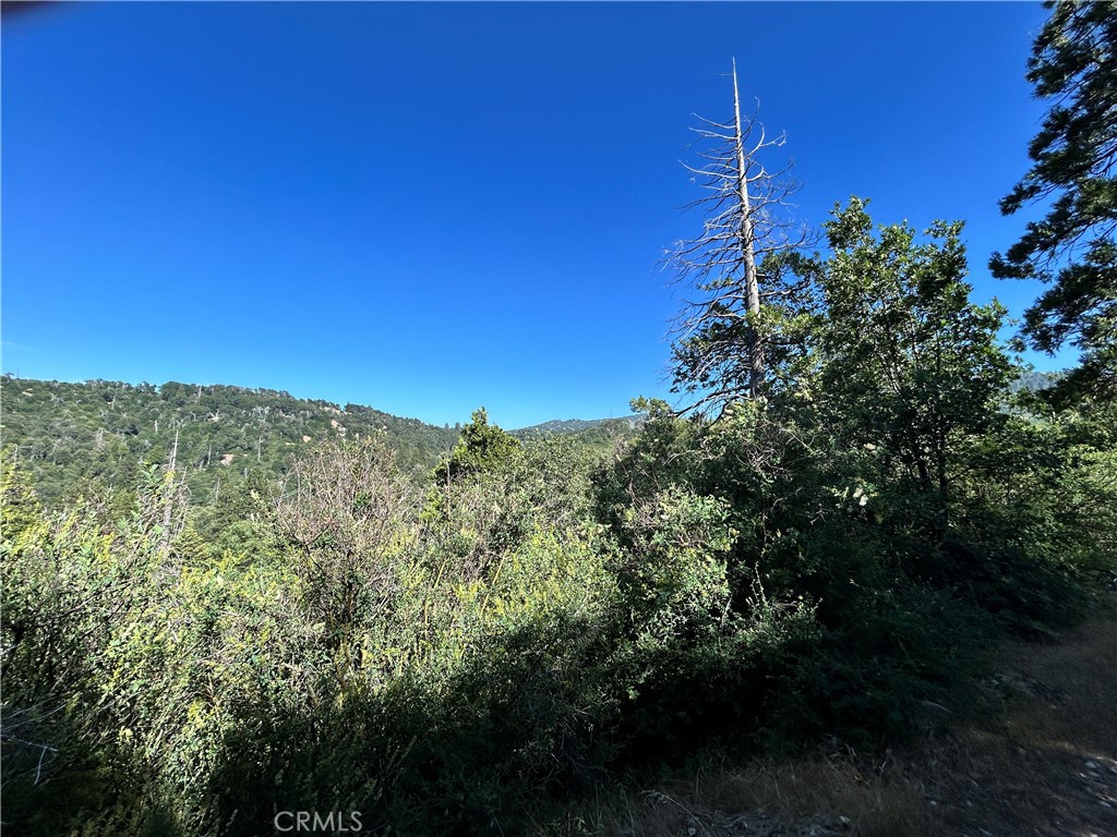 12 LOT Piney Lane Property Photo 1