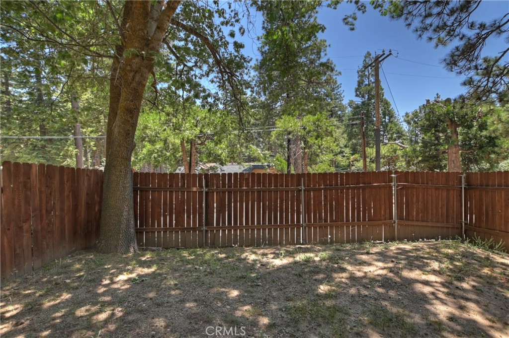 31816 Silver Spruce Drive Property Photo 29