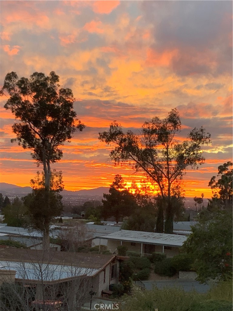 4040 Piedmont Drive 113 Property Photo 36