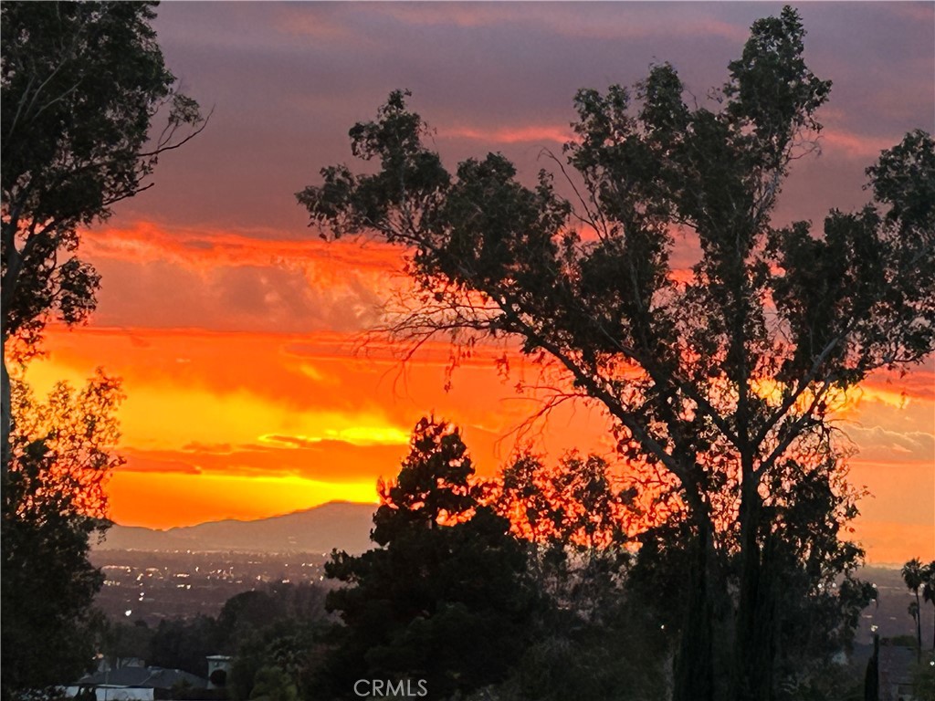 4040 Piedmont Drive 113 Property Photo 37