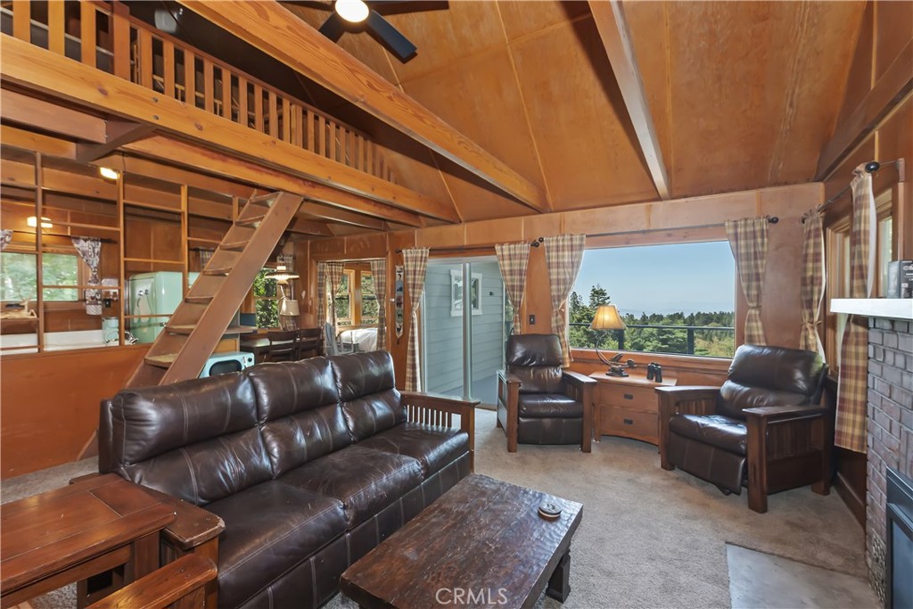1040 Mile High Road Property Photo 8