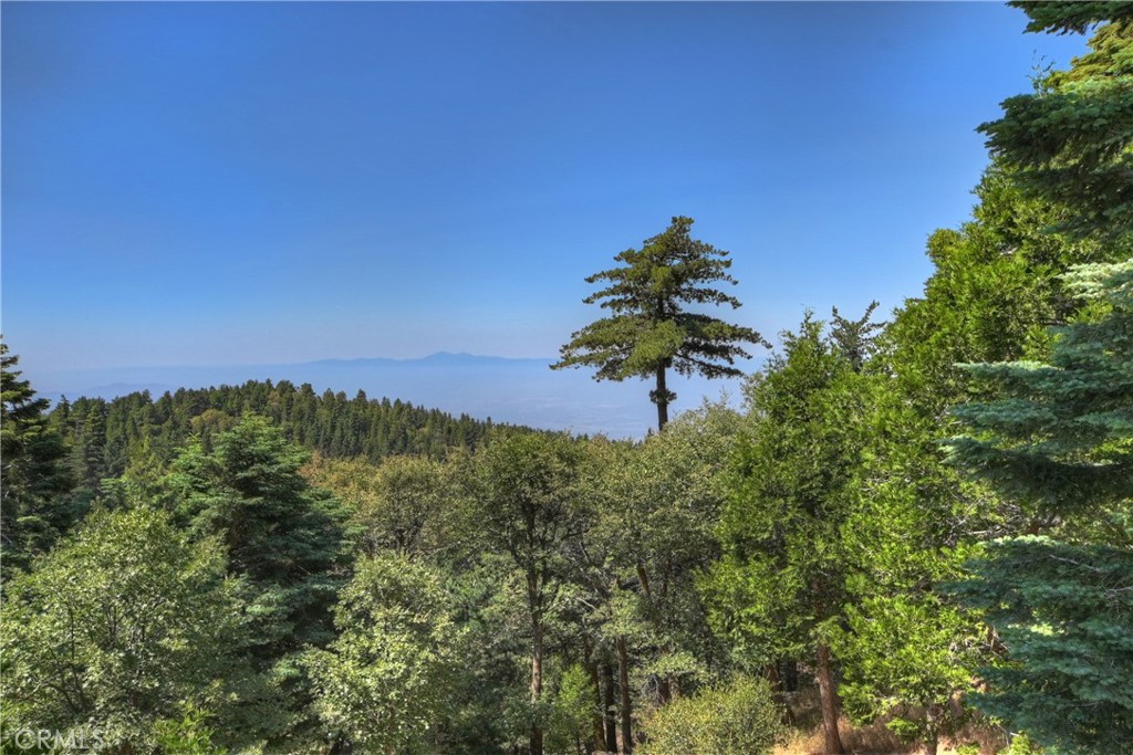 1040 Mile High Road Property Photo 27