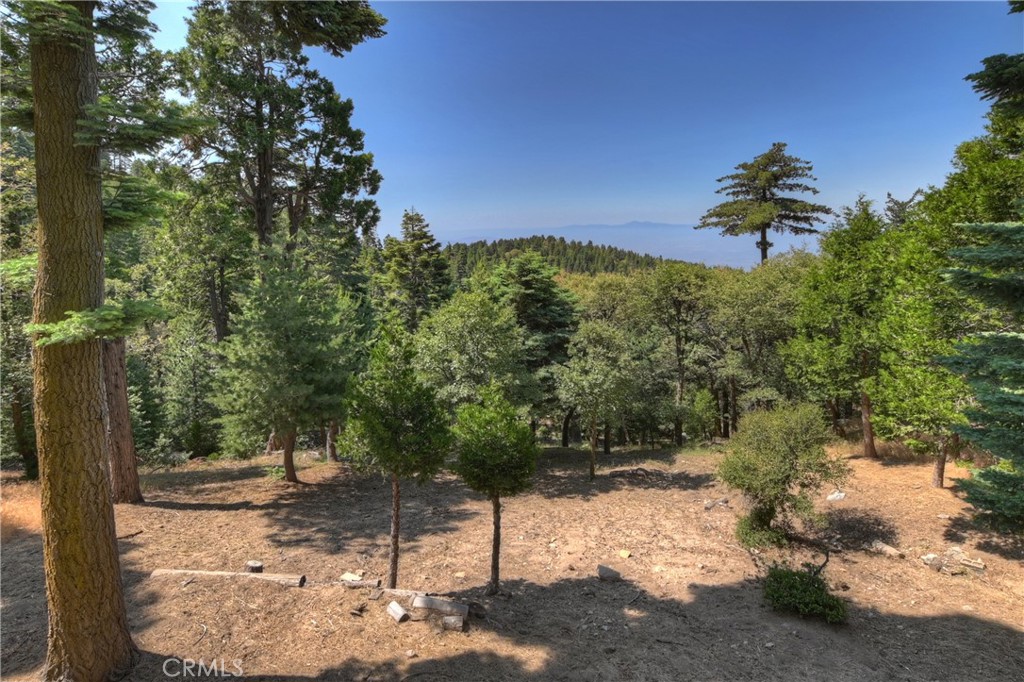 1040 Mile High Road Property Photo 28