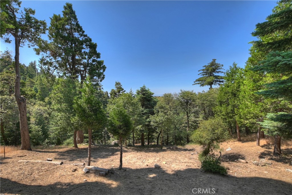 1040 Mile High Road Property Photo 39