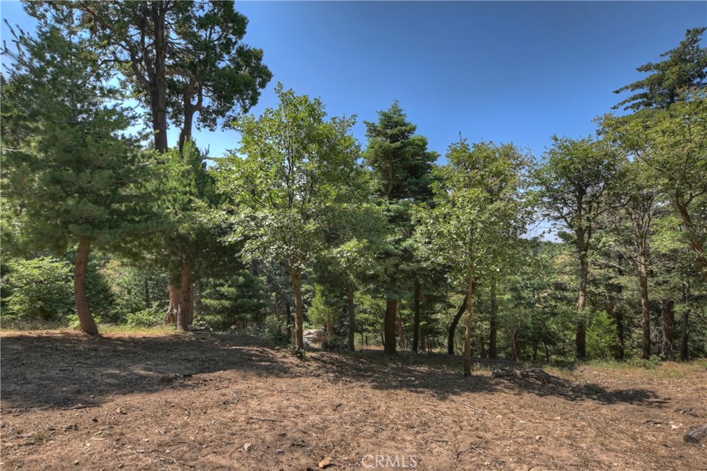 1040 Mile High Road Property Photo 40