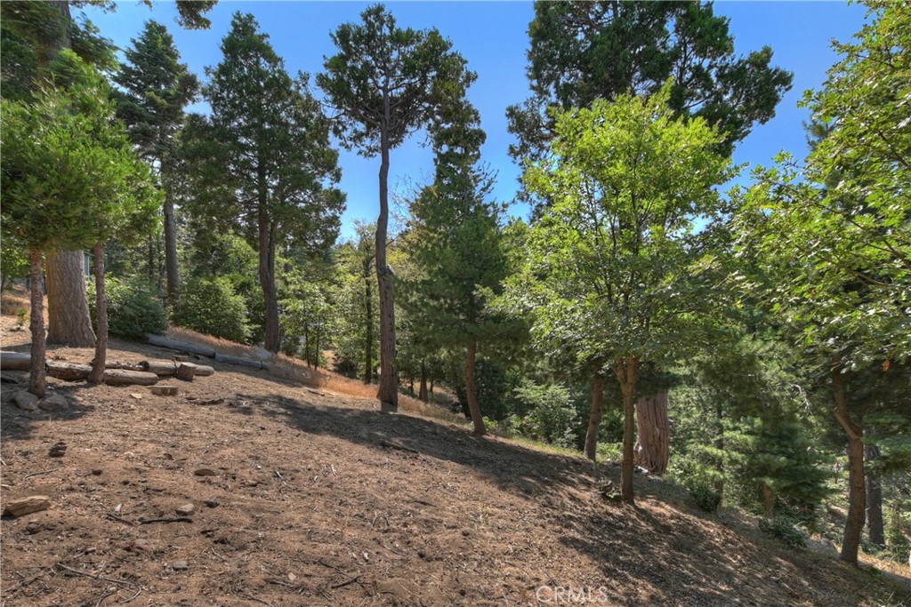 1040 Mile High Road Property Photo 41