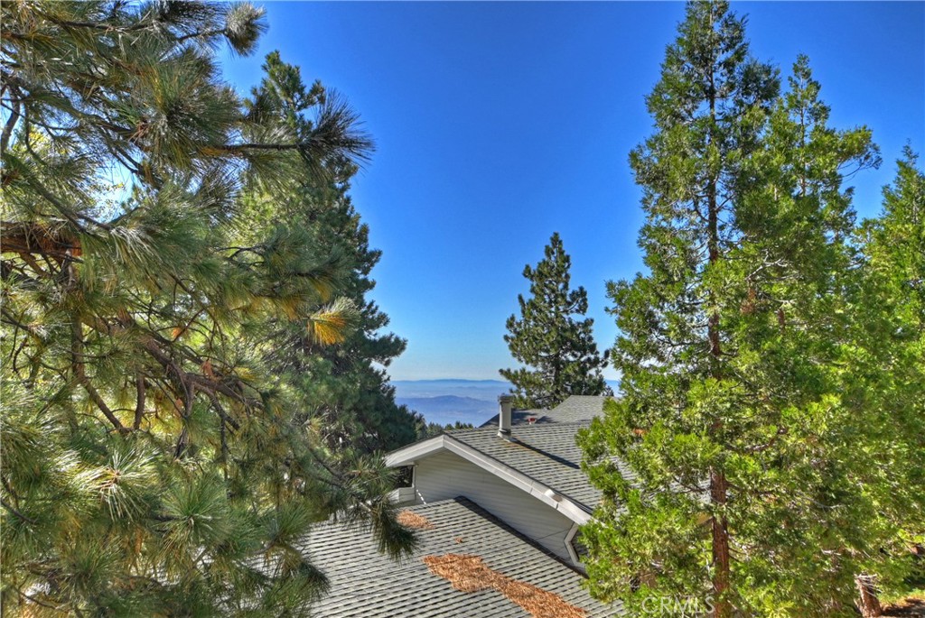 1930 Nob Hill Drive Property Photo 11