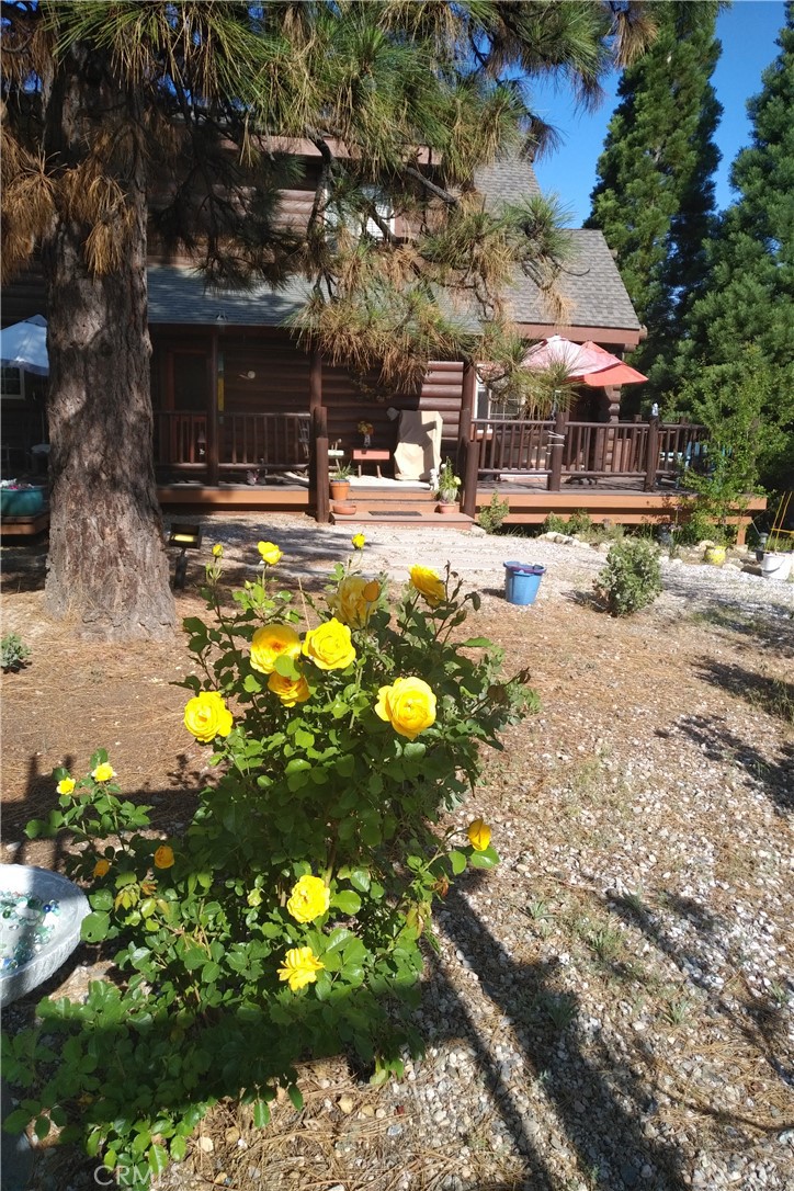 1415 Manzanita Way Property Photo 29