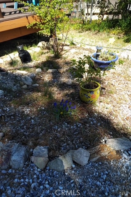 1415 Manzanita Way Property Photo 33