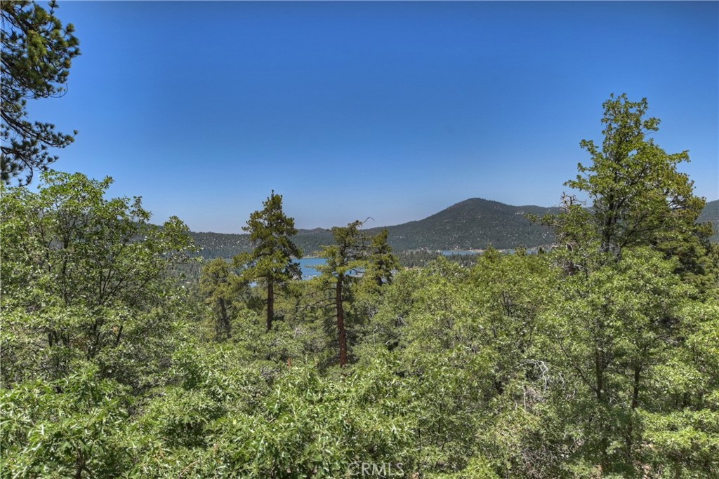 73 Metcalf Creek Property Photo 22
