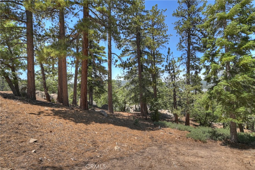 73 Metcalf Creek Property Photo 26