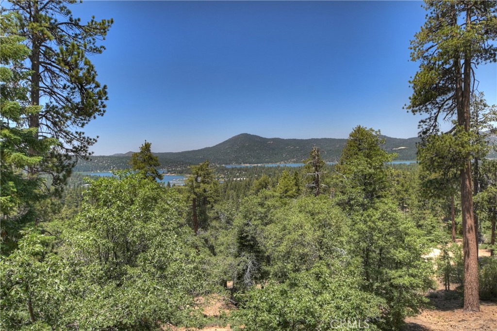 73 Metcalf Creek Property Photo 31
