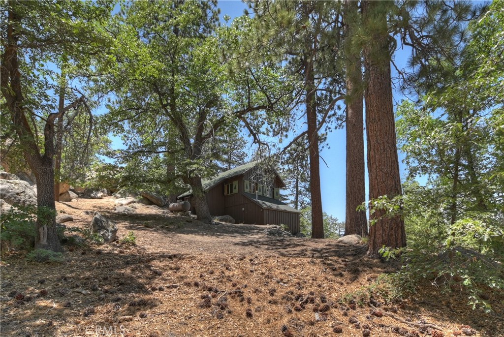 73 Metcalf Creek Property Photo 34