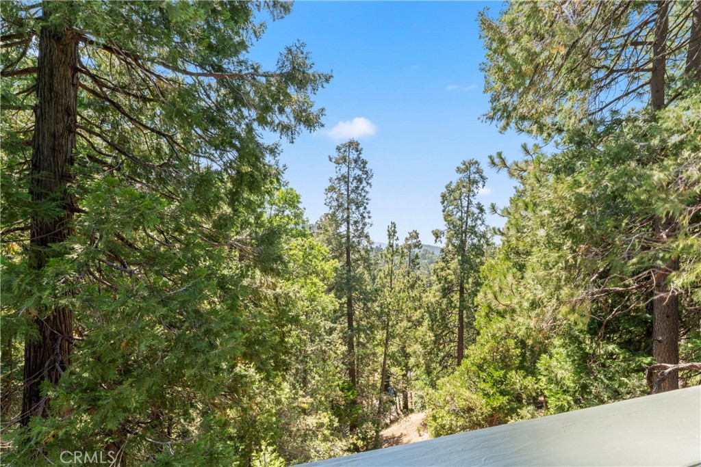 1016 Berne Drive Property Photo 41