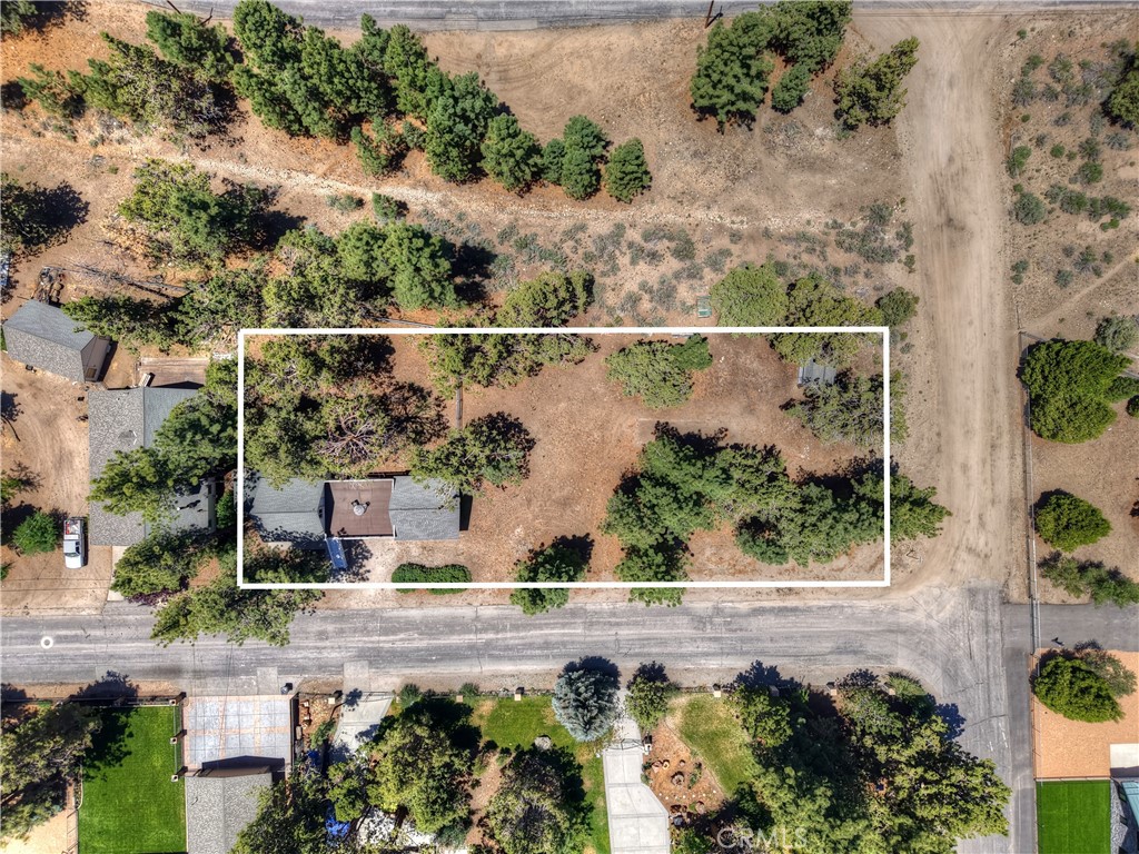 1109 Holden Avenue Property Photo 7