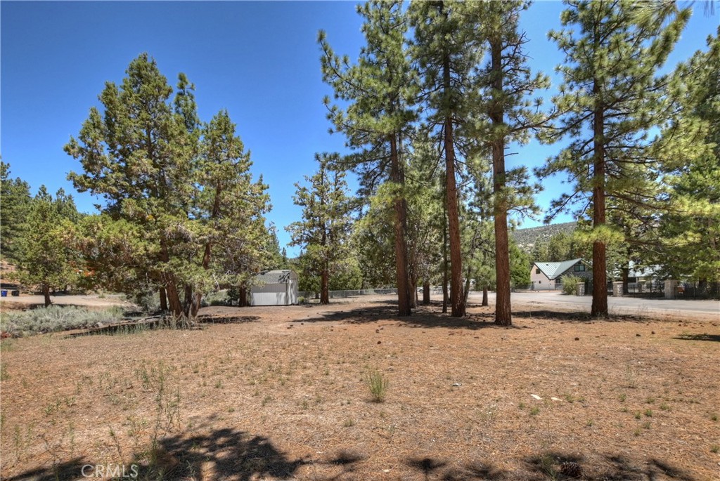 1109 Holden Avenue Property Photo 11