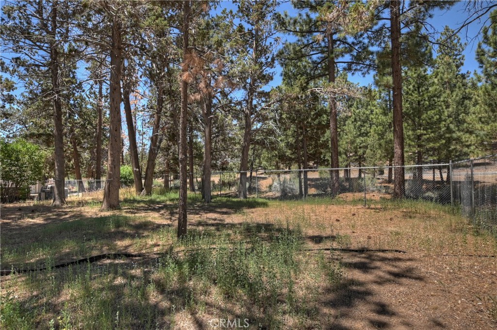 1109 Holden Avenue Property Photo 39