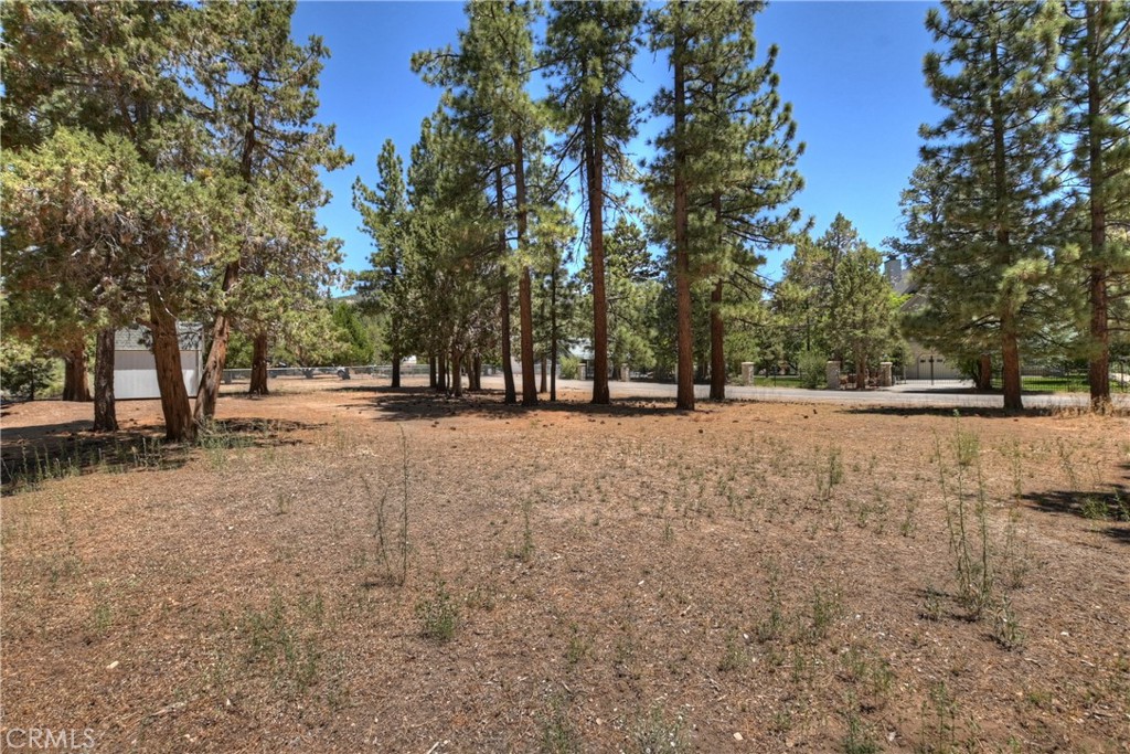 1109 Holden Avenue Property Photo 46