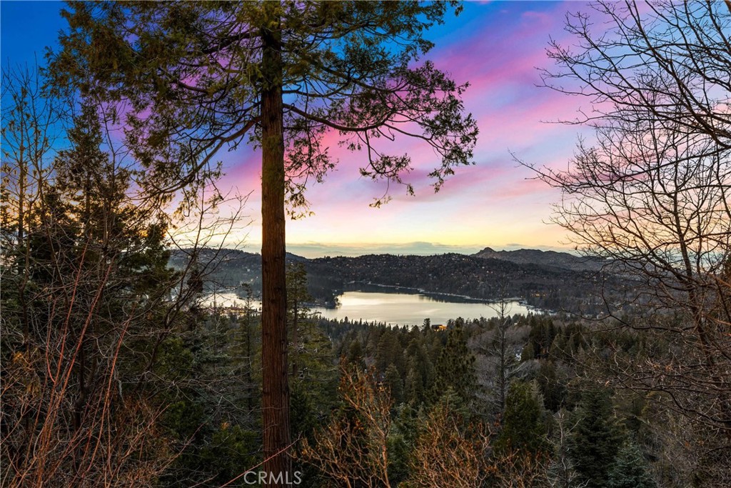 29162 Bald Eagle Ridge Property Photo 38