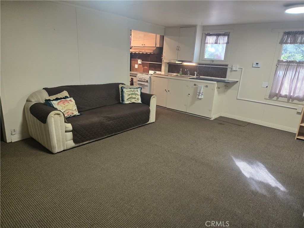 25035 Moon Drive Property Photo 4