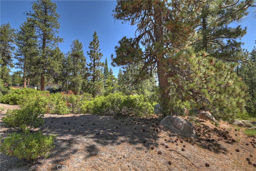 38606 Talbot Property Photo 15