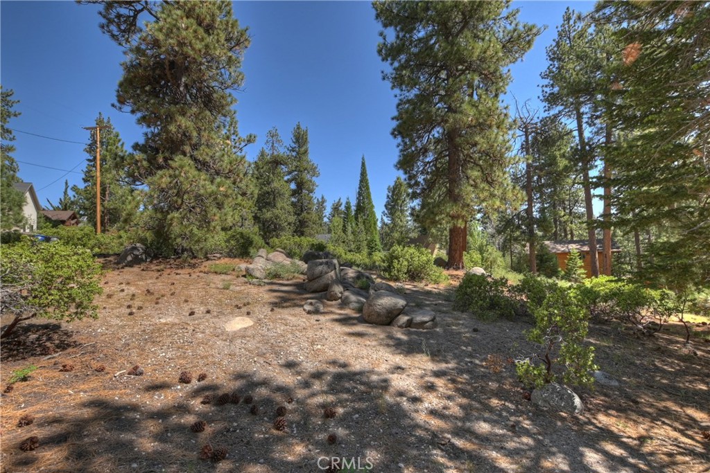 38606 Talbot Property Photo 16