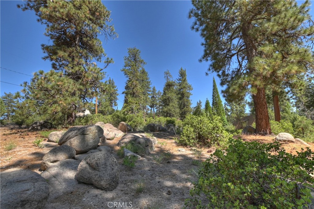 38606 Talbot Property Photo 17