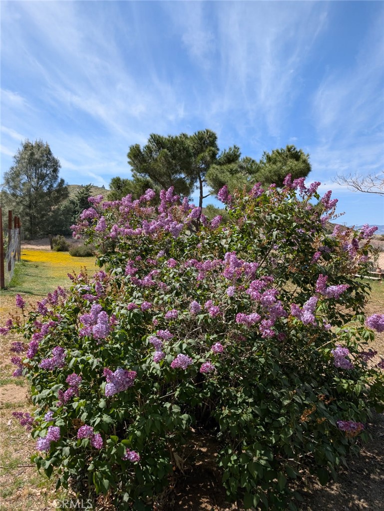 46404 Kings Canyon Road Property Photo 38