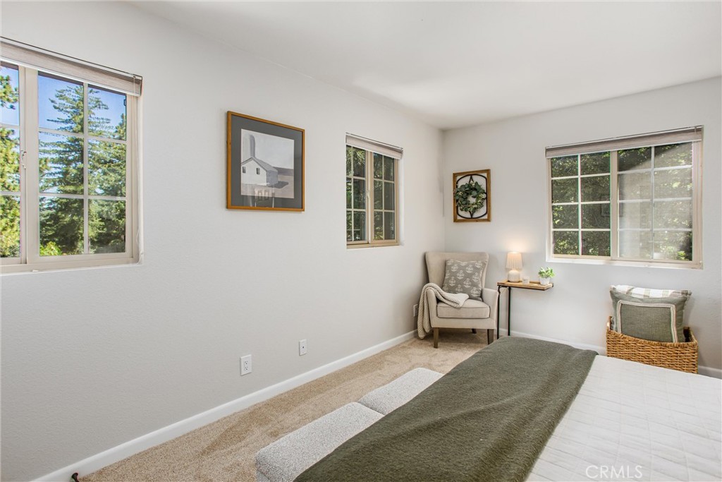 32425 Snowshoe Lane Property Photo 28