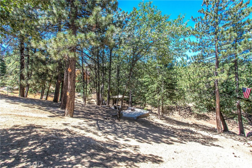32425 Snowshoe Lane Property Photo 38