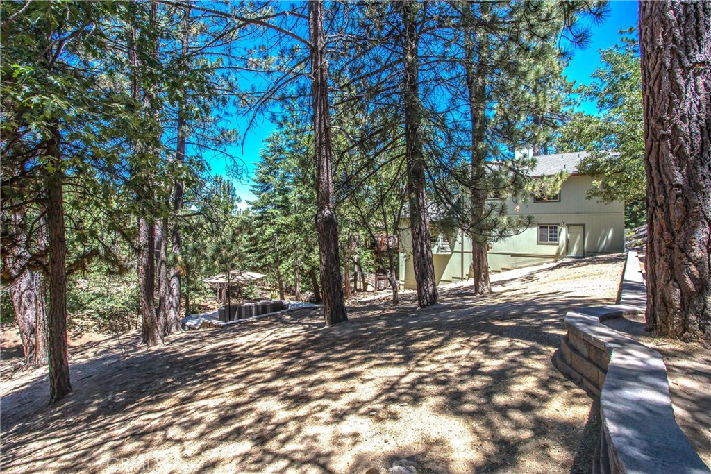 32425 Snowshoe Lane Property Photo 43