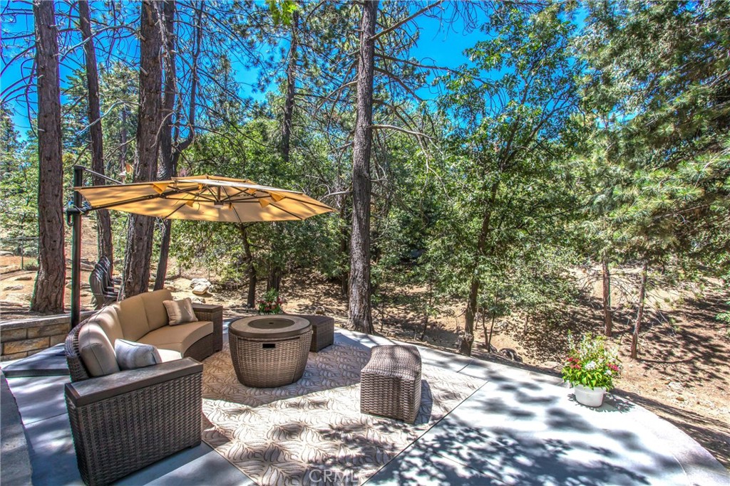 32425 Snowshoe Lane Property Photo 47