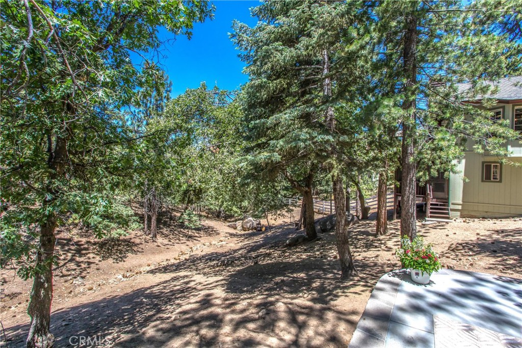 32425 Snowshoe Lane Property Photo 48