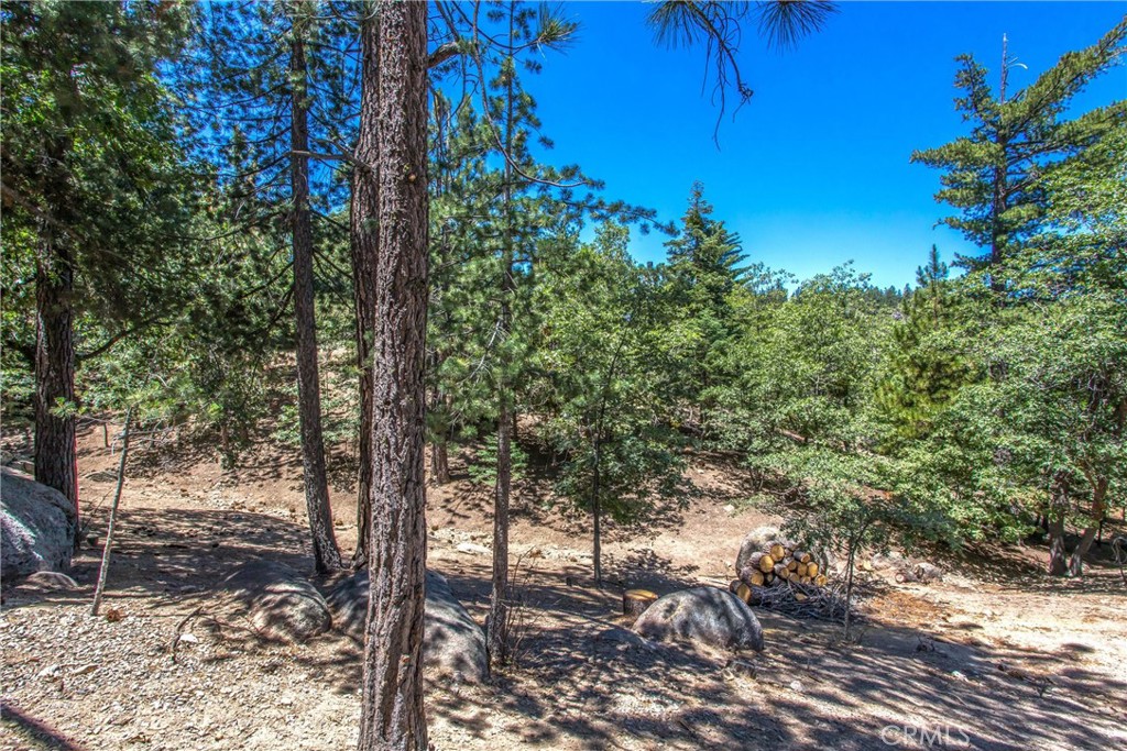 32425 Snowshoe Lane Property Photo 51