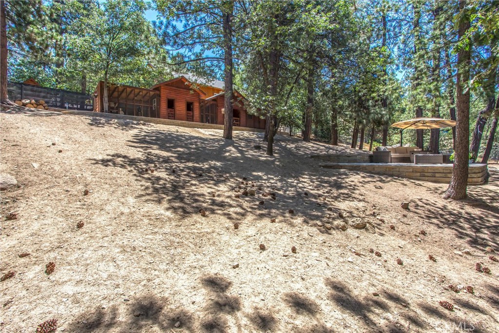 32425 Snowshoe Lane Property Photo 52