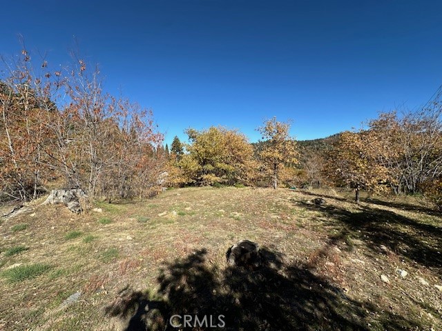 2379 Chicago Drive Property Photo 2