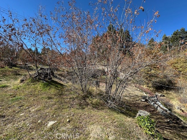 2379 Chicago Drive Property Photo 3