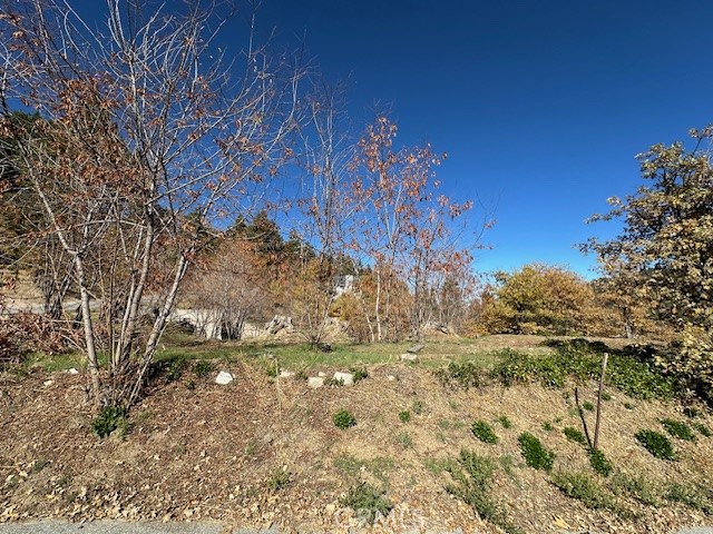 2379 Chicago Drive Property Photo 4