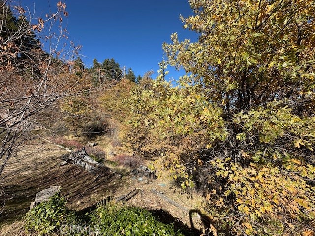 2379 Chicago Drive Property Photo 10