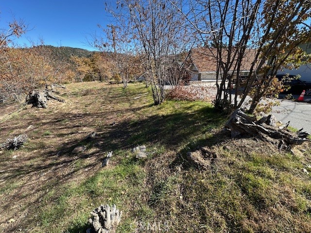 2379 Chicago Drive Property Photo 13