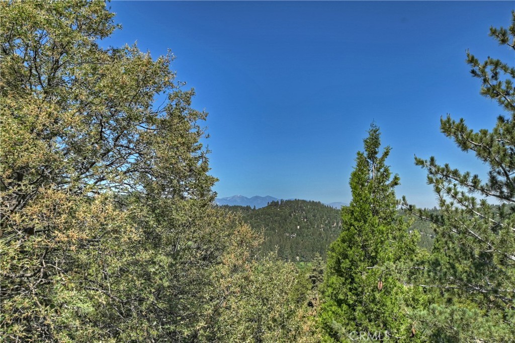 273 Shasta Drive Property Photo 33