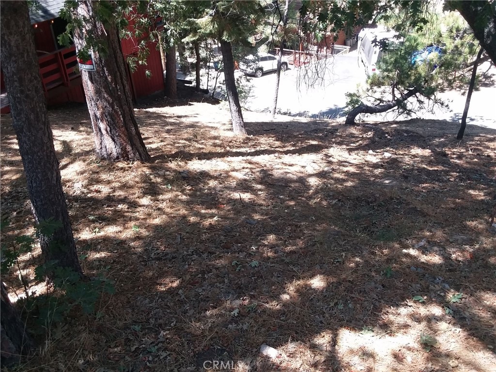 32960 Lone Pine Drive Property Photo 1