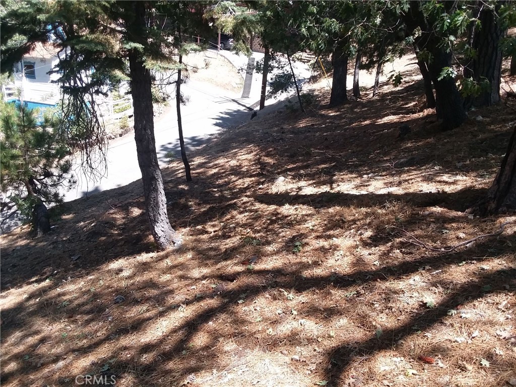 32960 Lone Pine Drive Property Photo 2